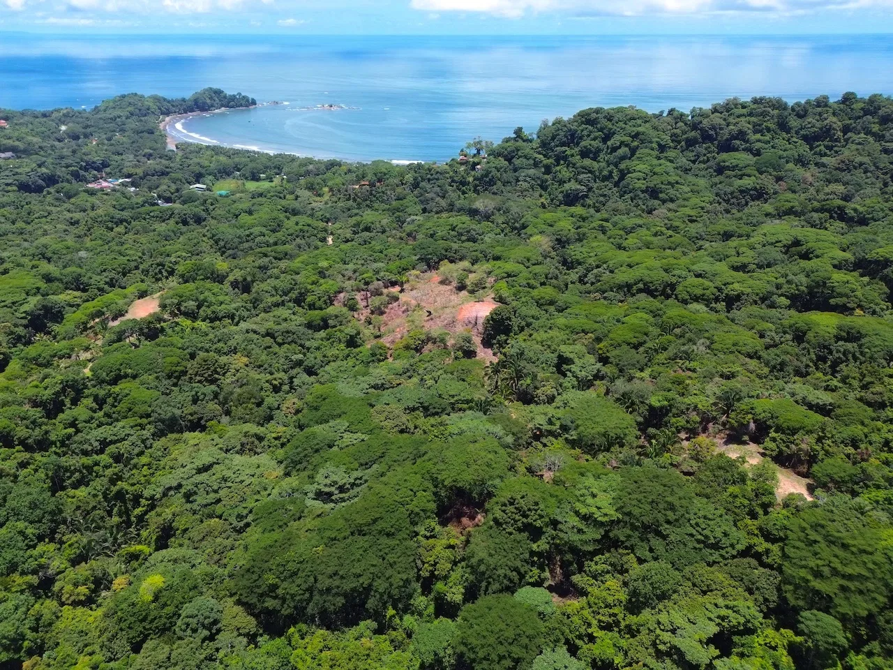 OCEAN AND JUNGLE VIEWS, RIVER AND WALKING DISTANCE TO THE BEACH  – 61.78 ACRES, photo 5