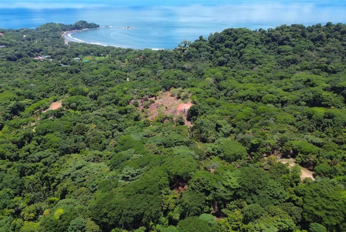 OCEAN AND JUNGLE VIEWS, RIVER AND WALKING DISTANCE TO THE BEACH  – 61.78 ACRES, photo 6