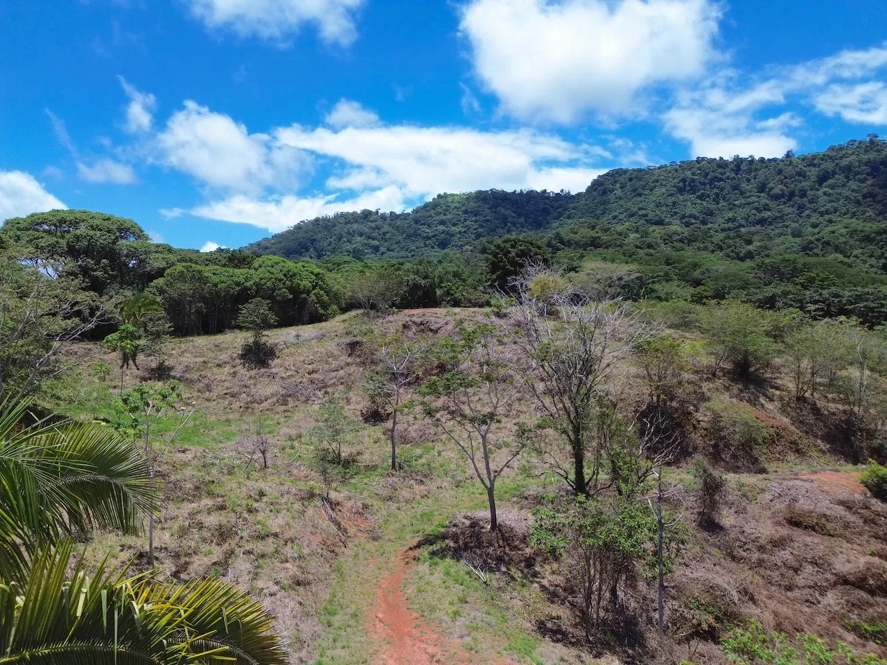 OCEAN AND JUNGLE VIEWS, RIVER AND WALKING DISTANCE TO THE BEACH  – 61.78 ACRES, photo 7