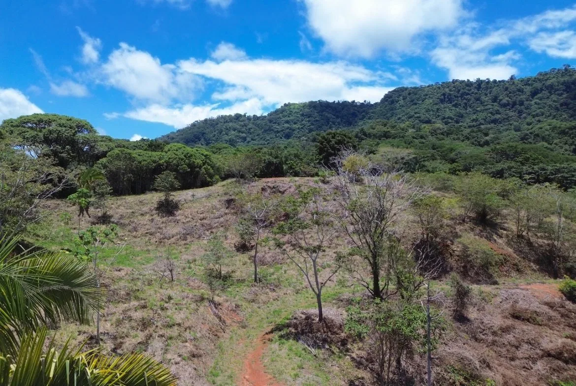 OCEAN AND JUNGLE VIEWS, RIVER AND WALKING DISTANCE TO THE BEACH  – 61.78 ACRES, photo 8