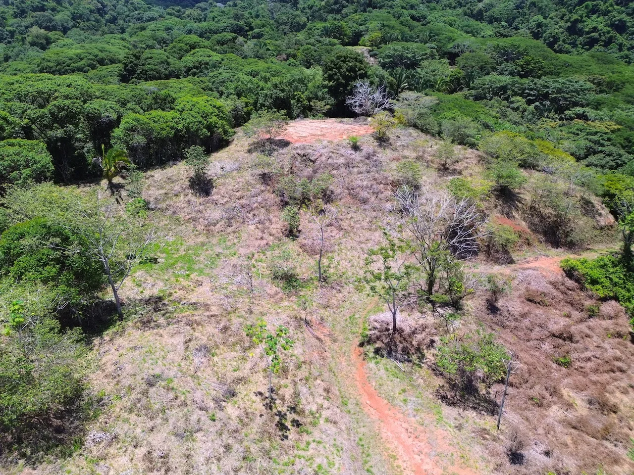 OCEAN AND JUNGLE VIEWS, RIVER AND WALKING DISTANCE TO THE BEACH  – 61.78 ACRES, photo 9
