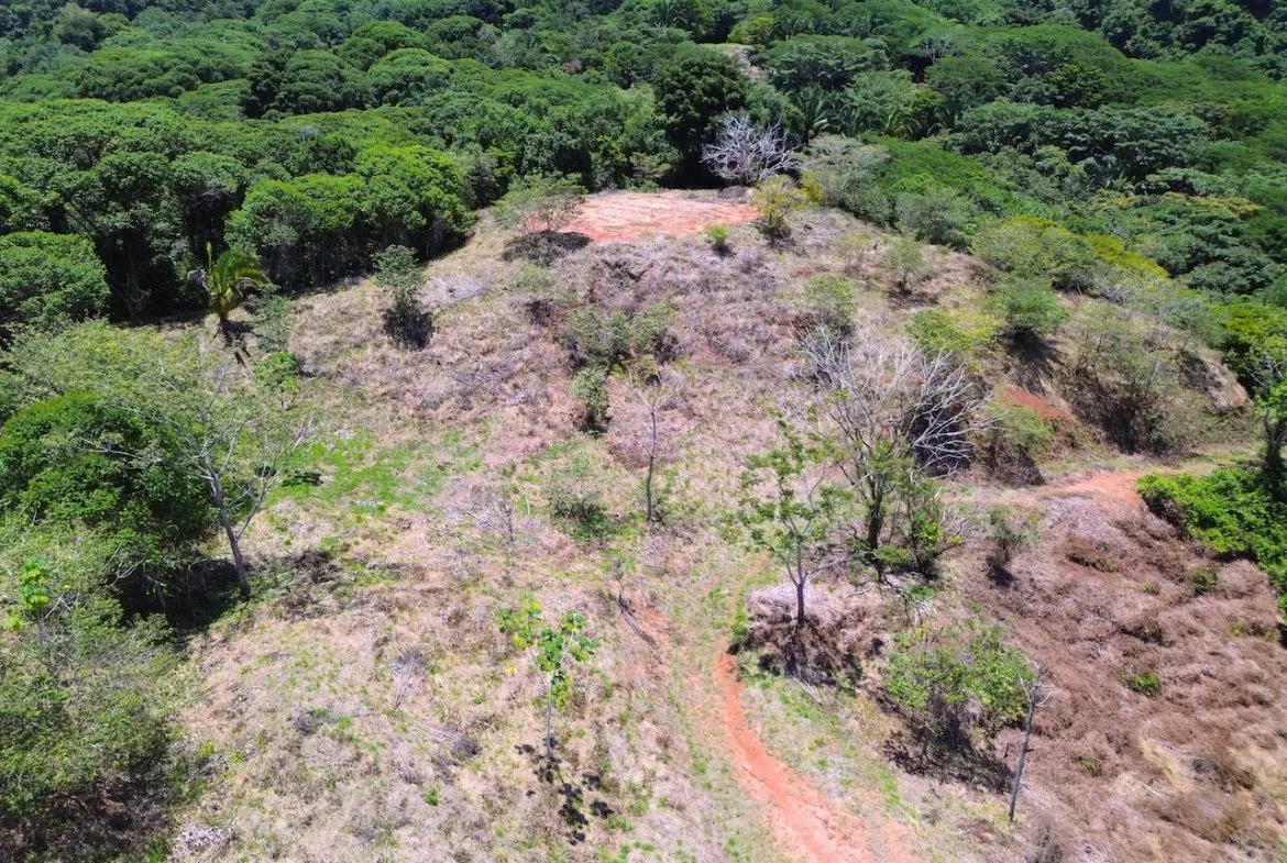 OCEAN AND JUNGLE VIEWS, RIVER AND WALKING DISTANCE TO THE BEACH  – 61.78 ACRES, photo 10