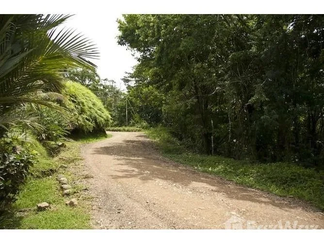 Land for Sale in Perez Zeledon, San Jose for $7,000,000, photo 2