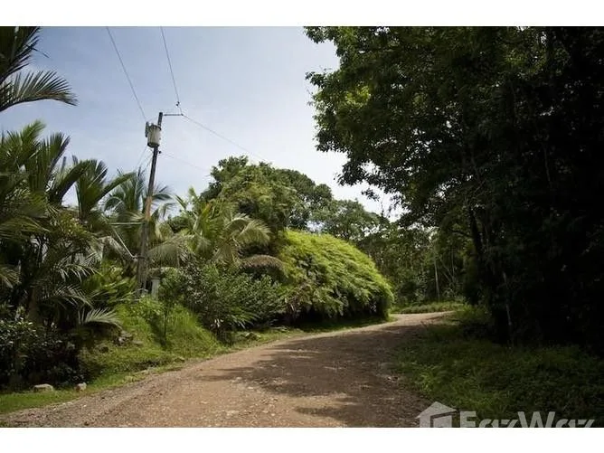 Land for Sale in Perez Zeledon, San Jose for $7,000,000, photo 3