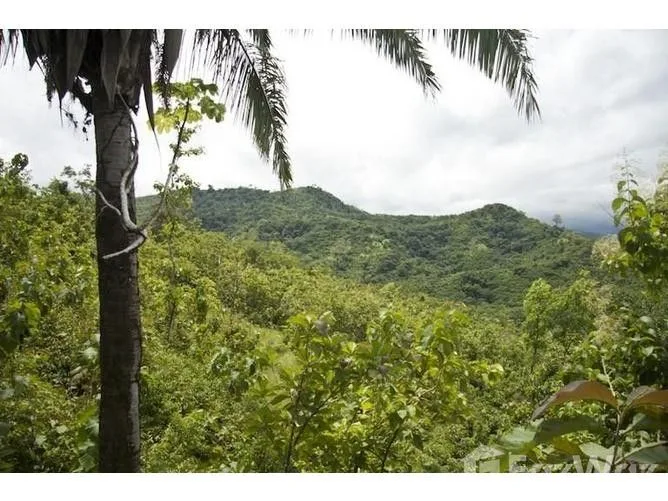 Land for Sale in Perez Zeledon, San Jose for $7,000,000, photo 4