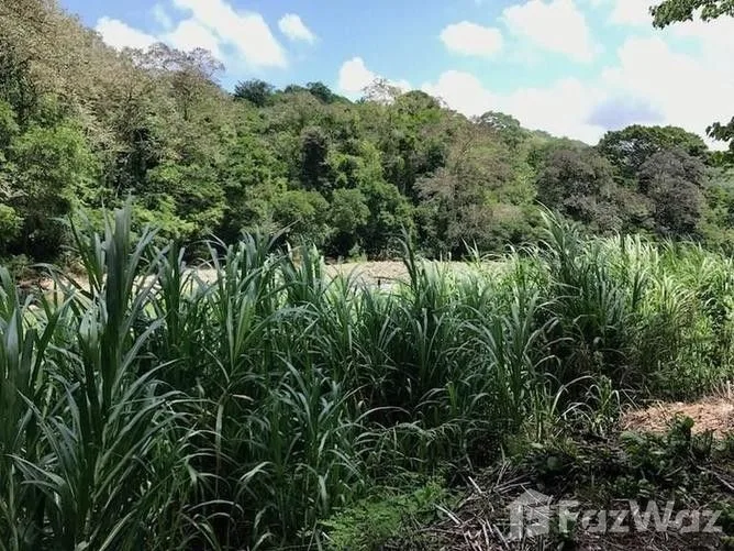 Land for Sale in Perez Zeledon, San Jose for $7,000,000, photo 6