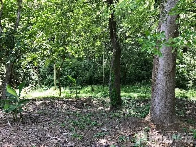 Land for Sale in Perez Zeledon, San Jose for $7,000,000, photo 7