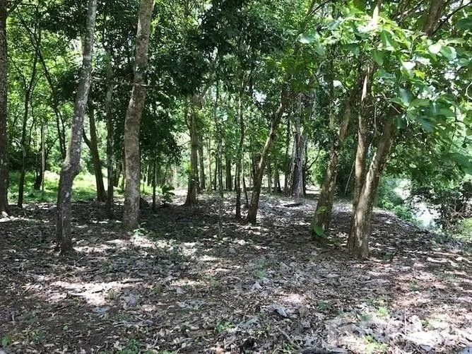 Land for Sale in Perez Zeledon, San Jose for $7,000,000, photo 8