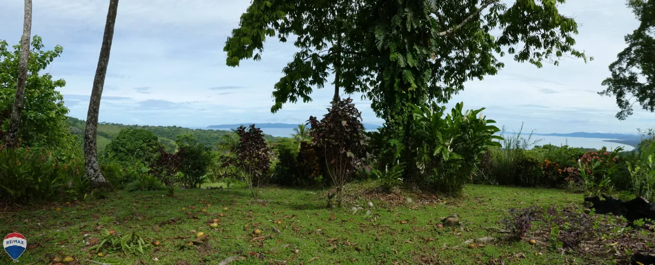 Cuervito Panoramic Gulf View - | RE/MAX Jungle Properties