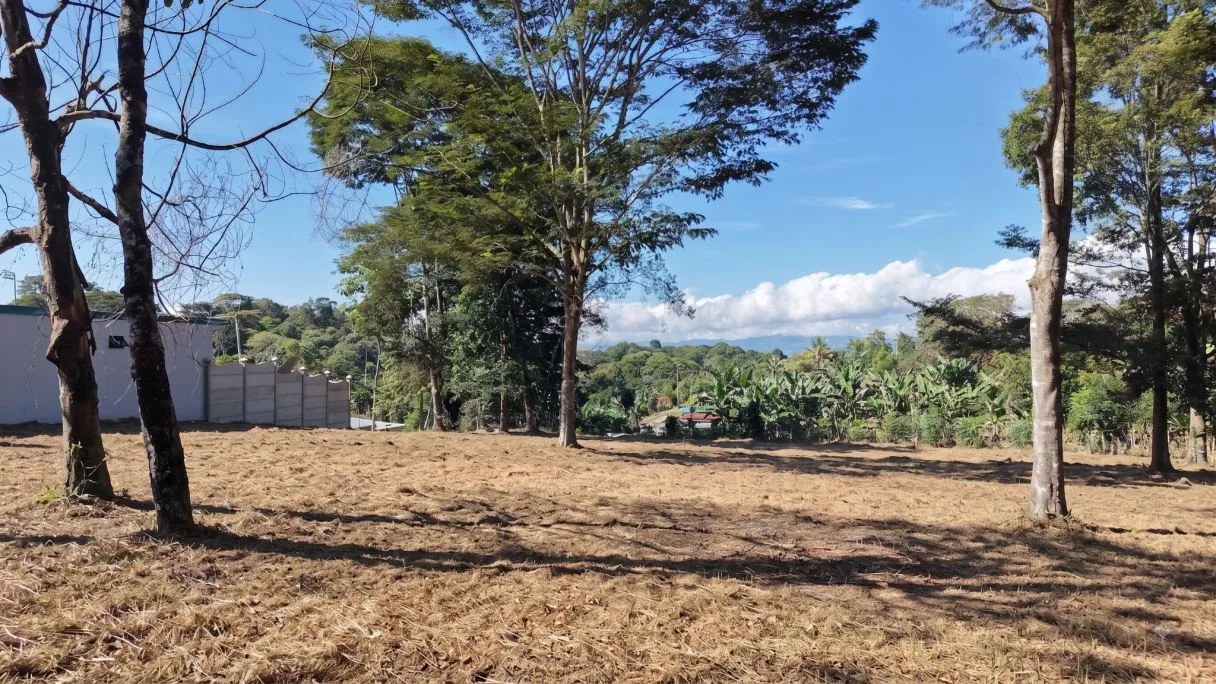 For Sale: 2317 m2 Flat and Strategic Location Lot in Montelimar, Pérez Zeledón, photo 2