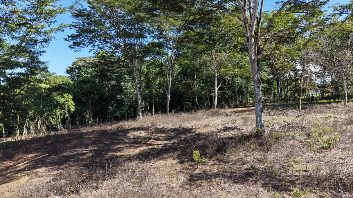 For Sale: 2317 m2 Flat and Strategic Location Lot in Montelimar, Pérez Zeledón, photo 3