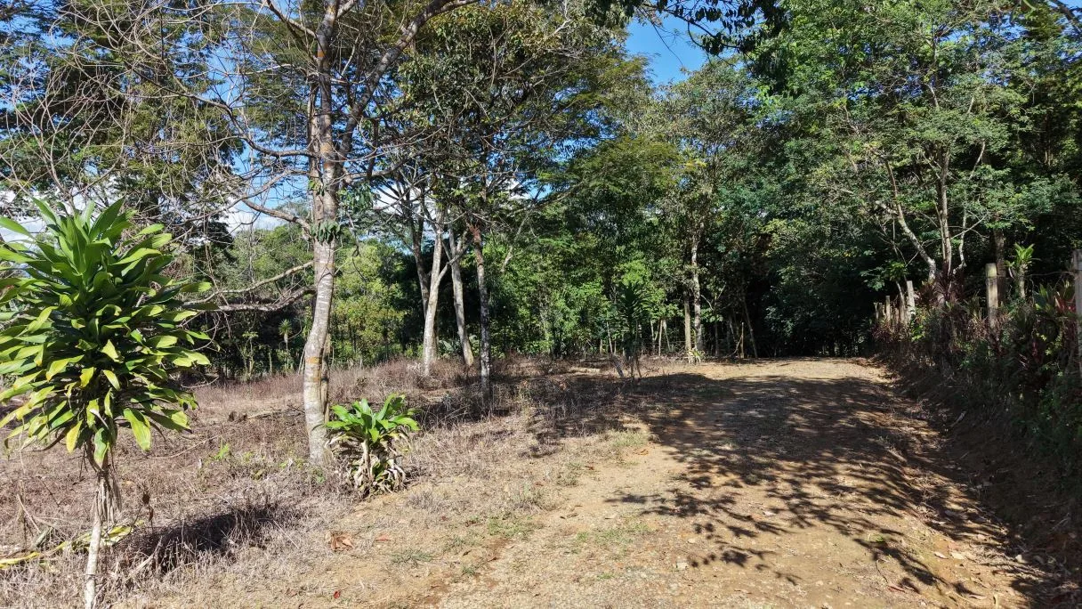 For Sale: 2317 m2 Flat and Strategic Location Lot in Montelimar, Pérez Zeledón, photo 4