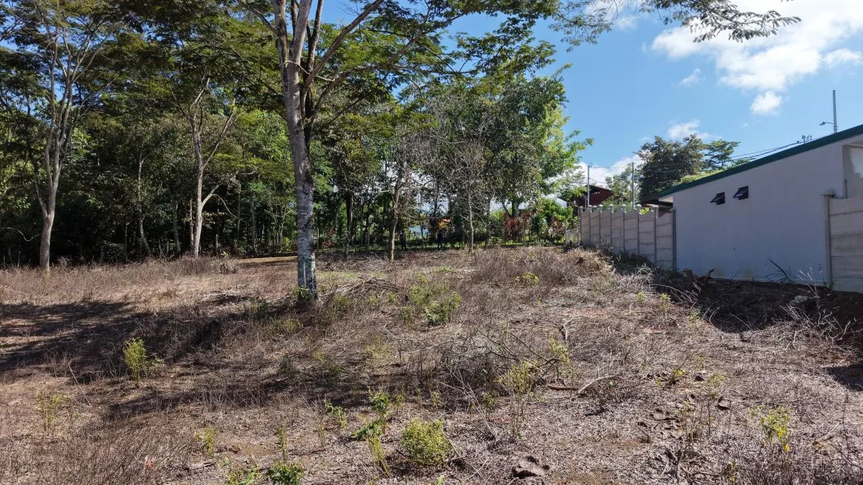 For Sale: 2317 m2 Flat and Strategic Location Lot in Montelimar, Pérez Zeledón, photo 7