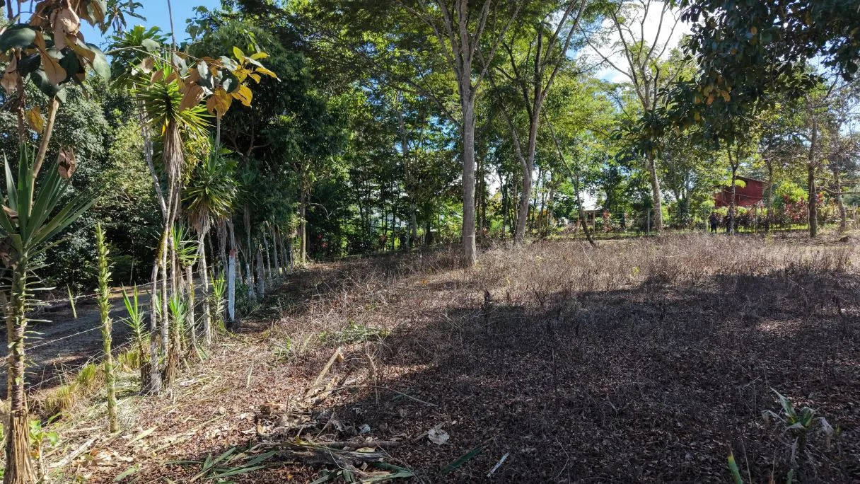For Sale: 2317 m2 Flat and Strategic Location Lot in Montelimar, Pérez Zeledón, photo 8