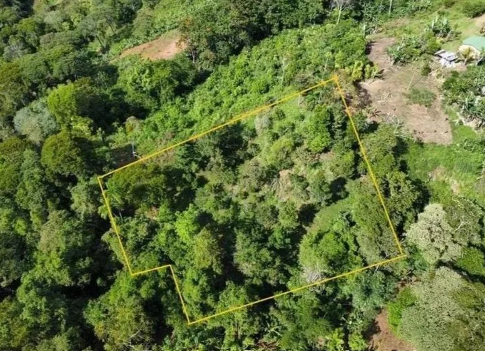 VENTA DE LOTE CON NACIENTE PROPIA EN SAN RAFAEL NORTE, PEREZ ZELEDON - Venta en Pérez Zeledón, photo 13