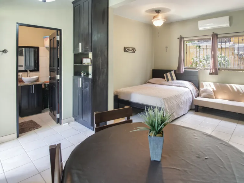 1 Bed Condo For Sale in Playas Del Coco, photo 3