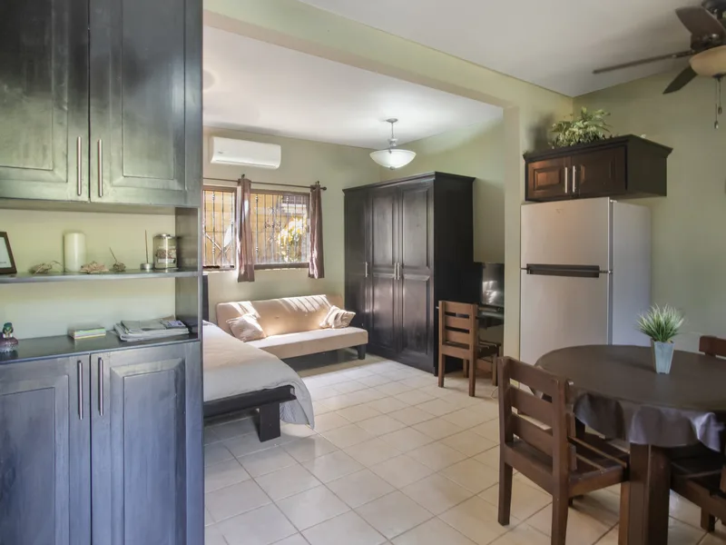 1 Bed Condo For Sale in Playas Del Coco, photo 8