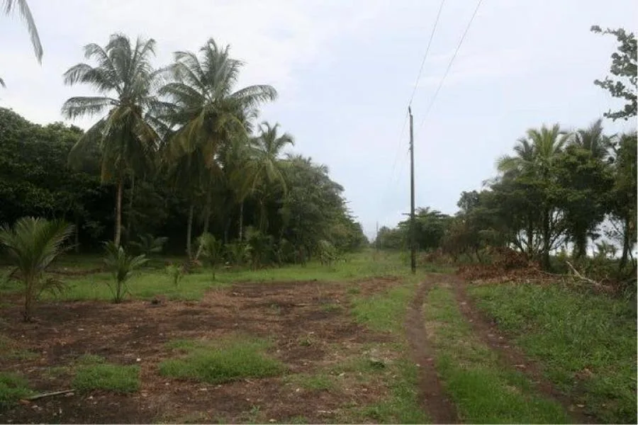 Venta de Lote en Tortuguero, Limón. - Venta en Pococí
