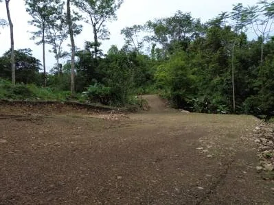 Lote Caracara Ridge, Refugio privado en la jungla n.° 1, photo 5