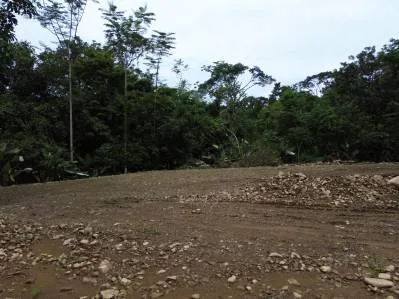 Lote Caracara Ridge, Refugio privado en la jungla n.° 1, photo 6