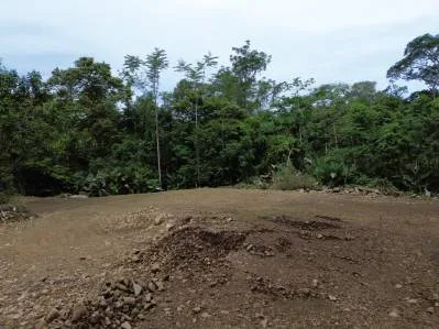 Lote Caracara Ridge, Refugio privado en la jungla n.° 1, photo 9
