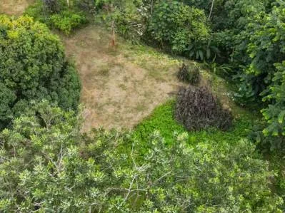 Propiedad frente al río en Ojochal, Costa Rica: terreno plano y edificable de casi una hectárea., photo 3