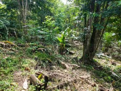Propiedad frente al río en Ojochal, Costa Rica: terreno plano y edificable de casi una hectárea., photo 5