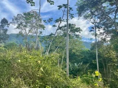 Propiedad frente al río en Ojochal, Costa Rica: terreno plano y edificable de casi una hectárea., photo 6