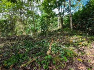 Propiedad frente al río en Ojochal, Costa Rica: terreno plano y edificable de casi una hectárea., photo 7