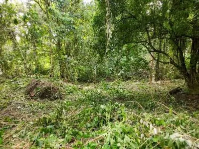 Propiedad frente al río en Ojochal, Costa Rica: terreno plano y edificable de casi una hectárea., photo 8
