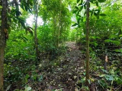 Propiedad frente al río en Ojochal, Costa Rica: terreno plano y edificable de casi una hectárea., photo 10