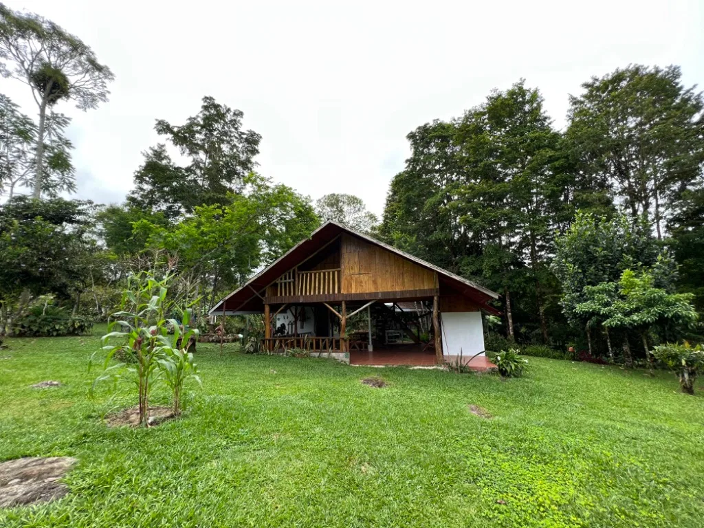 VENTA DE QUINTA DE 5.000 M2 CON ACCESO AL RIO PEÑAS BLANCAS Y RANCHO EN SANTA ELENA, PEREZ ZELEDON