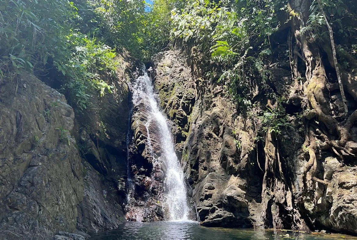 PROPERTY WITH WATERFALLS ACCESS, OCEAN, MOUNTAIN AND JUNGLE VIEWS – 75 ACRES, photo 2
