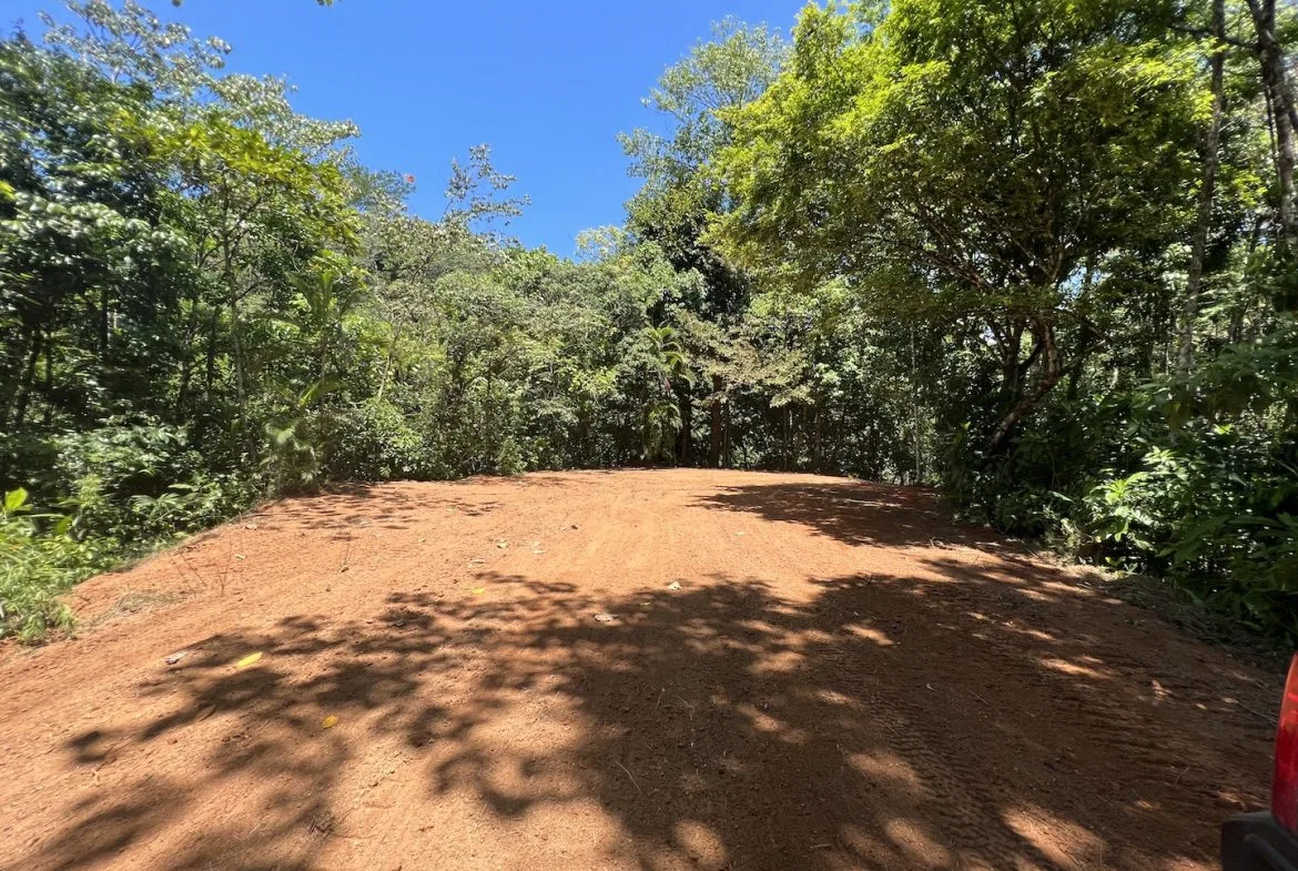 PROPERTY WITH WATERFALLS ACCESS, OCEAN, MOUNTAIN AND JUNGLE VIEWS – 75 ACRES, photo 11