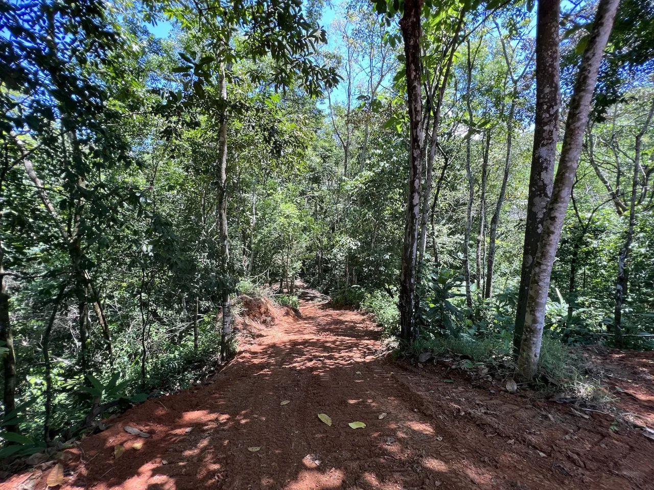 PROPERTY WITH WATERFALLS ACCESS, OCEAN, MOUNTAIN AND JUNGLE VIEWS – 75 ACRES, photo 12