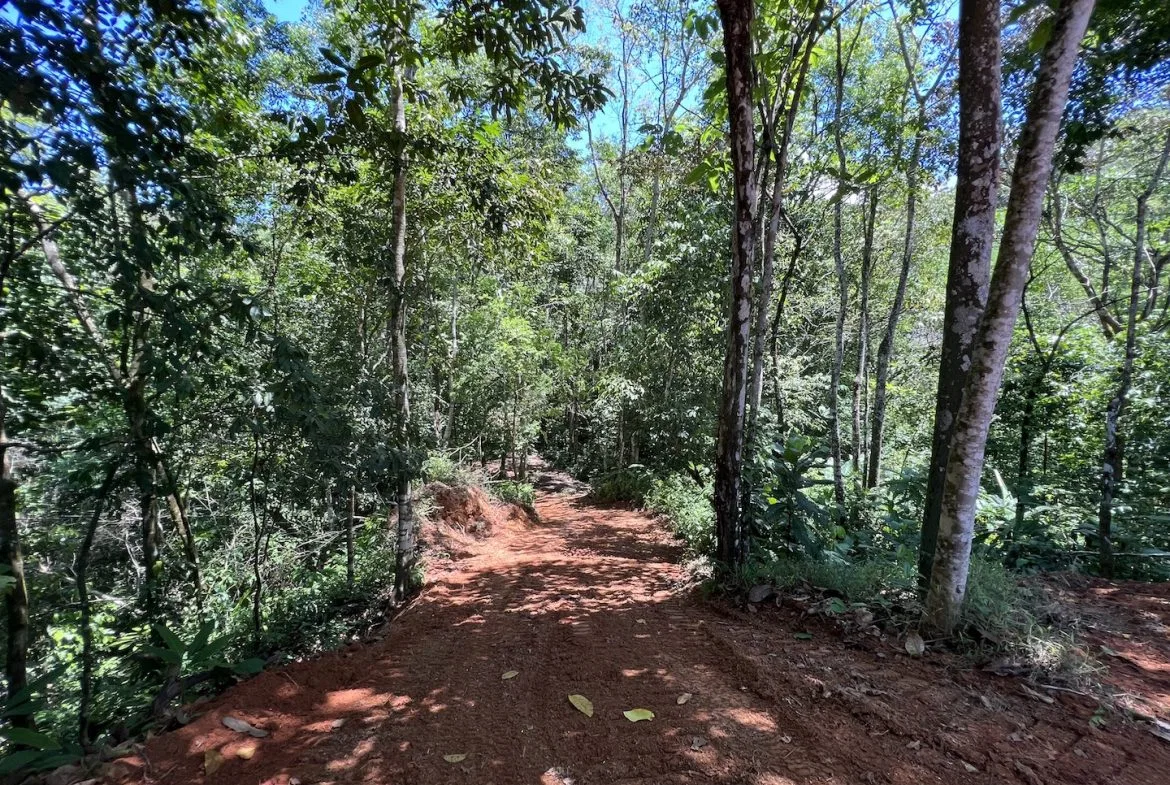 PROPERTY WITH WATERFALLS ACCESS, OCEAN, MOUNTAIN AND JUNGLE VIEWS – 75 ACRES, photo 13