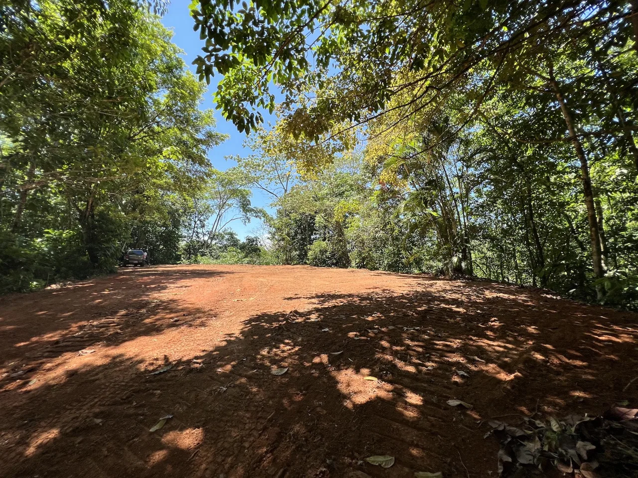 PROPERTY WITH WATERFALLS ACCESS, OCEAN, MOUNTAIN AND JUNGLE VIEWS – 75 ACRES, photo 14