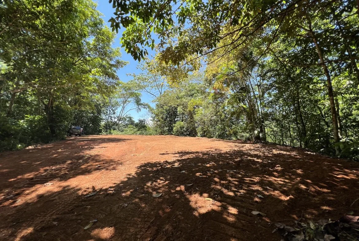 PROPERTY WITH WATERFALLS ACCESS, OCEAN, MOUNTAIN AND JUNGLE VIEWS – 75 ACRES, photo 15