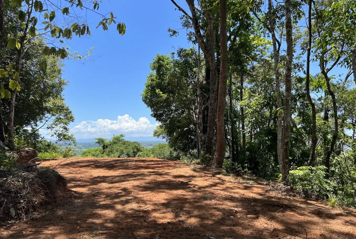 PROPERTY WITH WATERFALLS ACCESS, OCEAN, MOUNTAIN AND JUNGLE VIEWS – 75 ACRES, photo 19