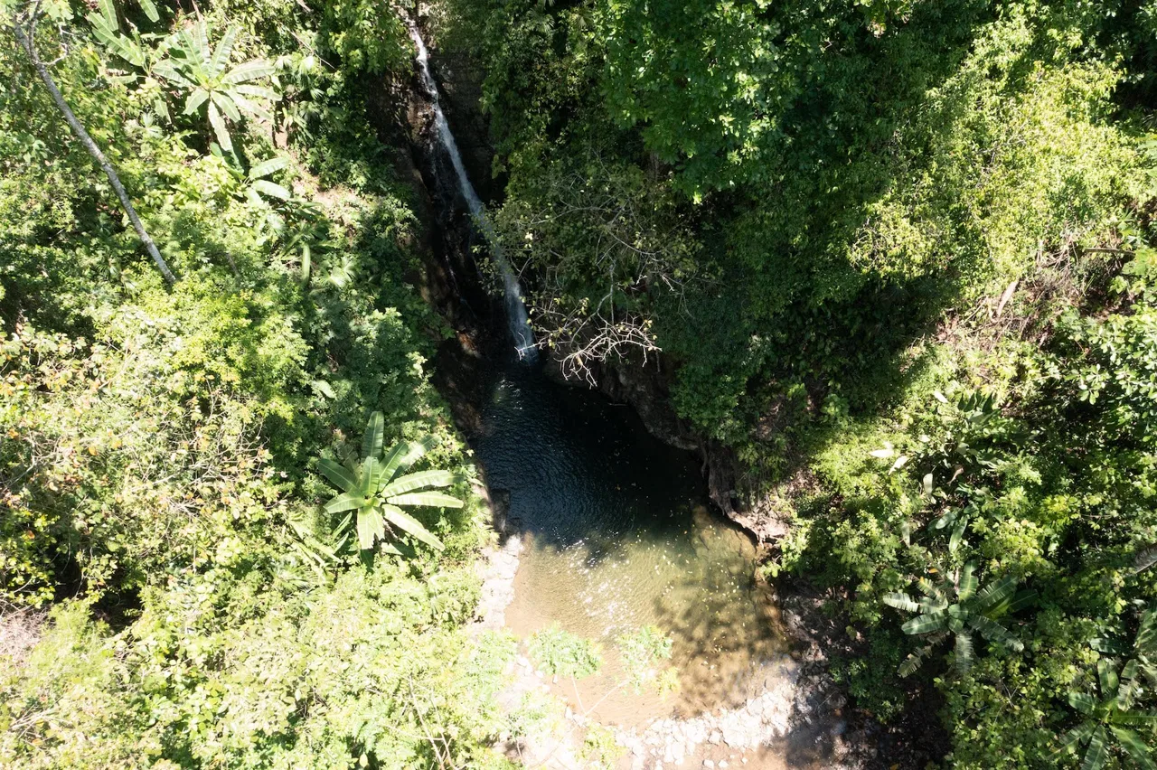 PROPERTY WITH WATERFALLS ACCESS, OCEAN, MOUNTAIN AND JUNGLE VIEWS – 75 ACRES, photo 20