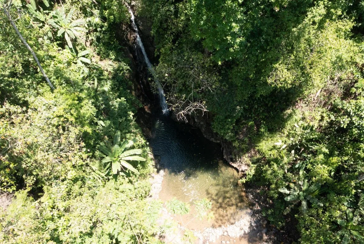 PROPERTY WITH WATERFALLS ACCESS, OCEAN, MOUNTAIN AND JUNGLE VIEWS – 75 ACRES, photo 21