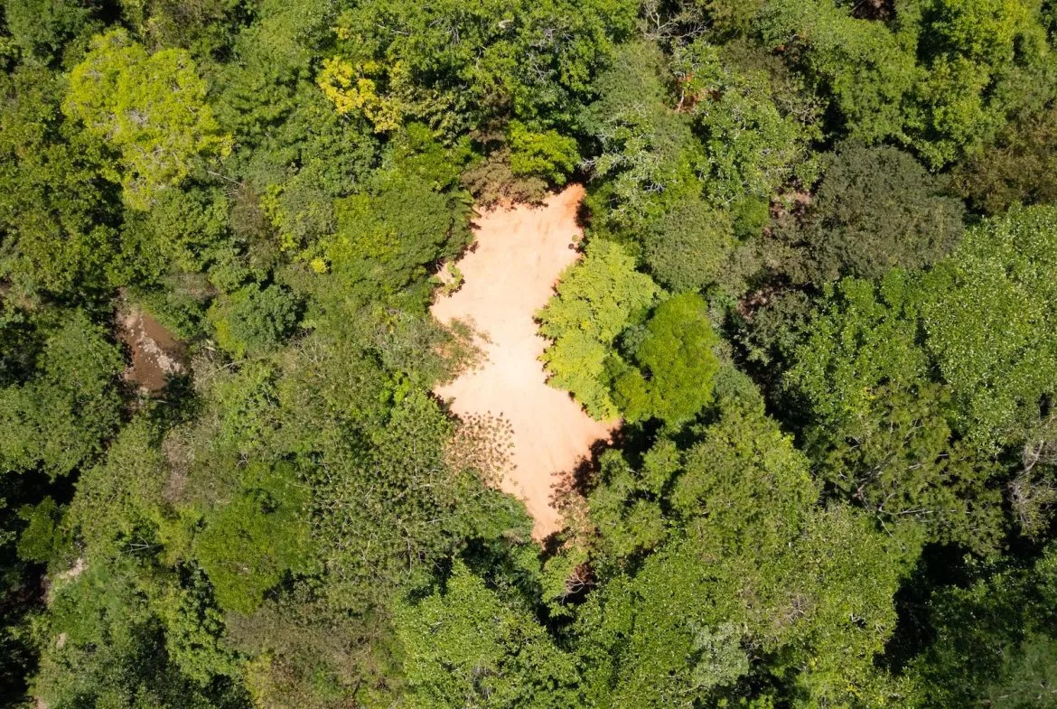 PROPERTY WITH WATERFALLS ACCESS, OCEAN, MOUNTAIN AND JUNGLE VIEWS – 75 ACRES, photo 5