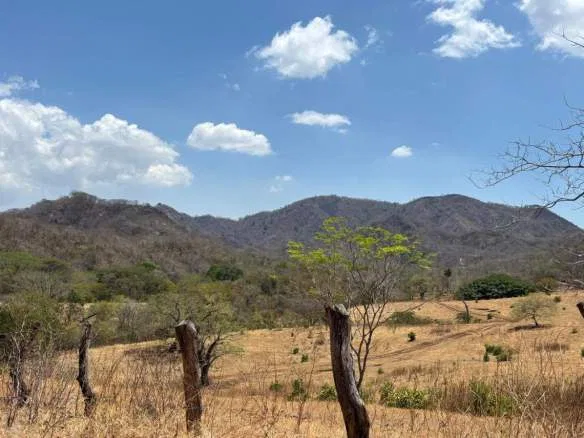 Santa Rosa Hills