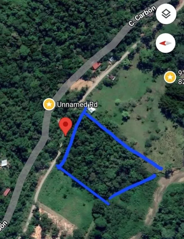12,041m² Treed Lot with Great Potential: Wooded Lot with Creek – Rewilding Opportunity Near Puerto Viejo, photo 6