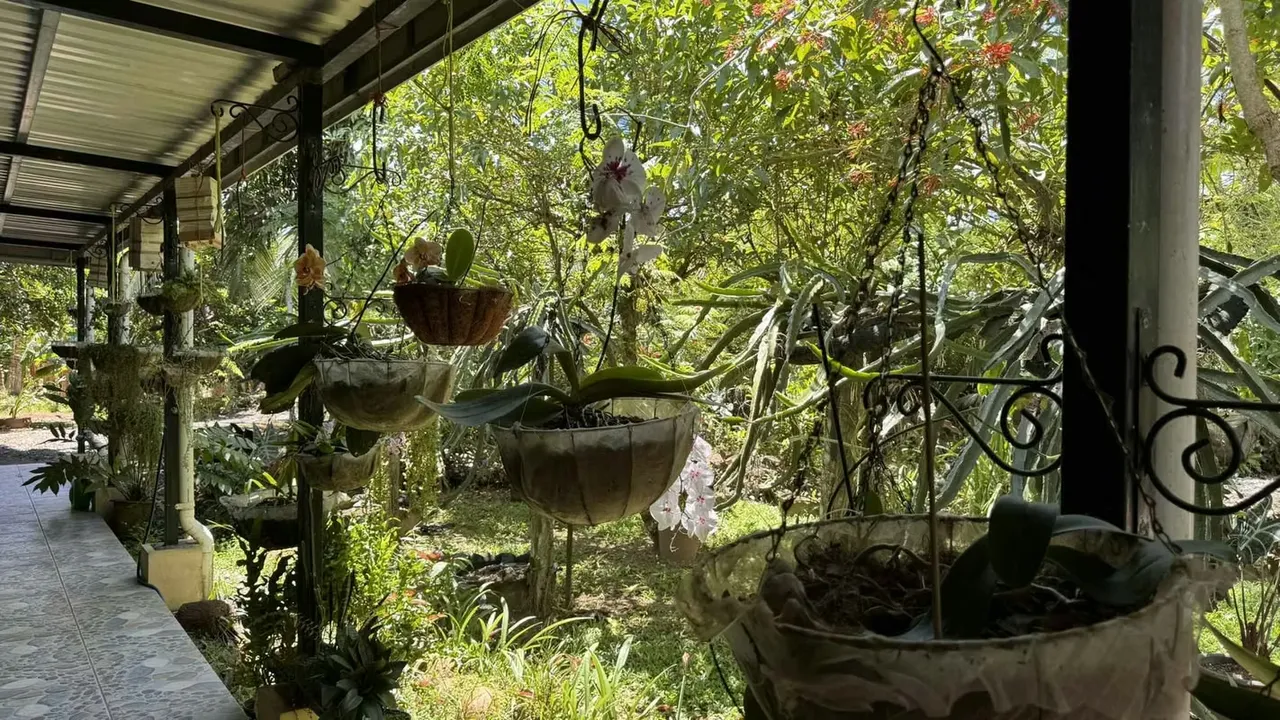 The farm we offer you is highly productive, ideal for people who enjoy farming, producing and love nature., photo 7