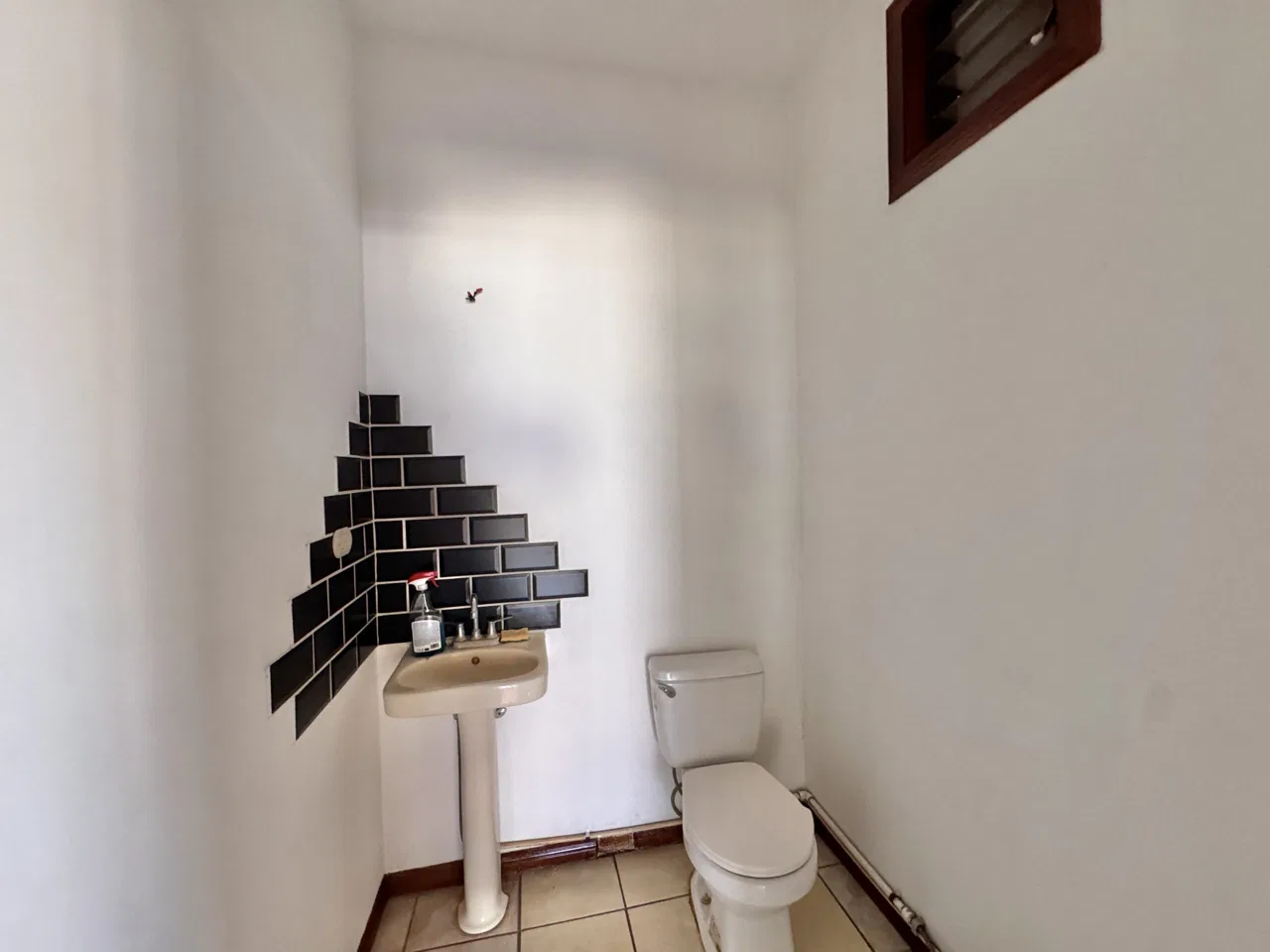 Downtown Sámara Home with Commercial Space &amp; Tropical Garden, photo 12