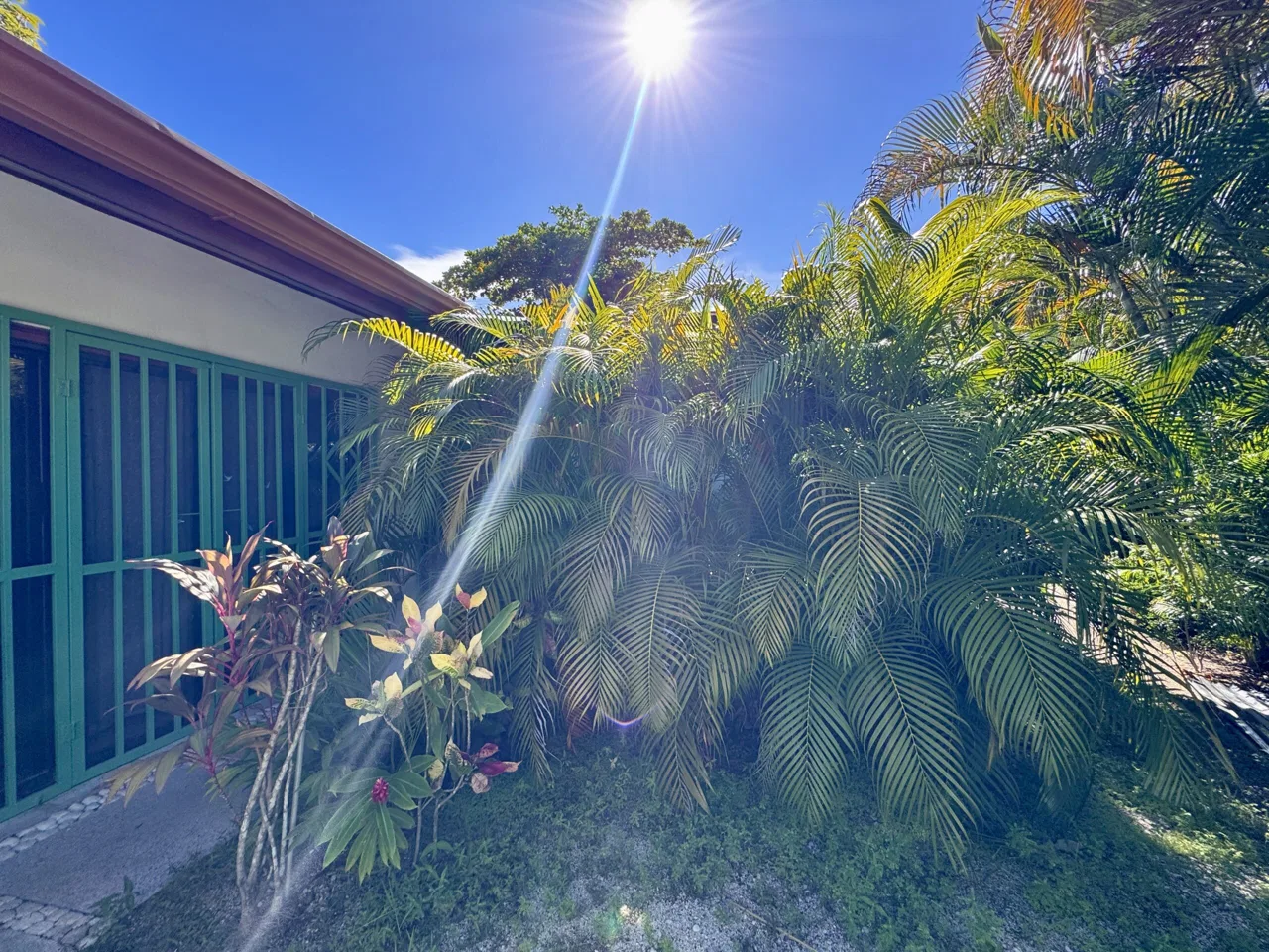 Downtown Sámara Home with Commercial Space &amp; Tropical Garden, photo 14