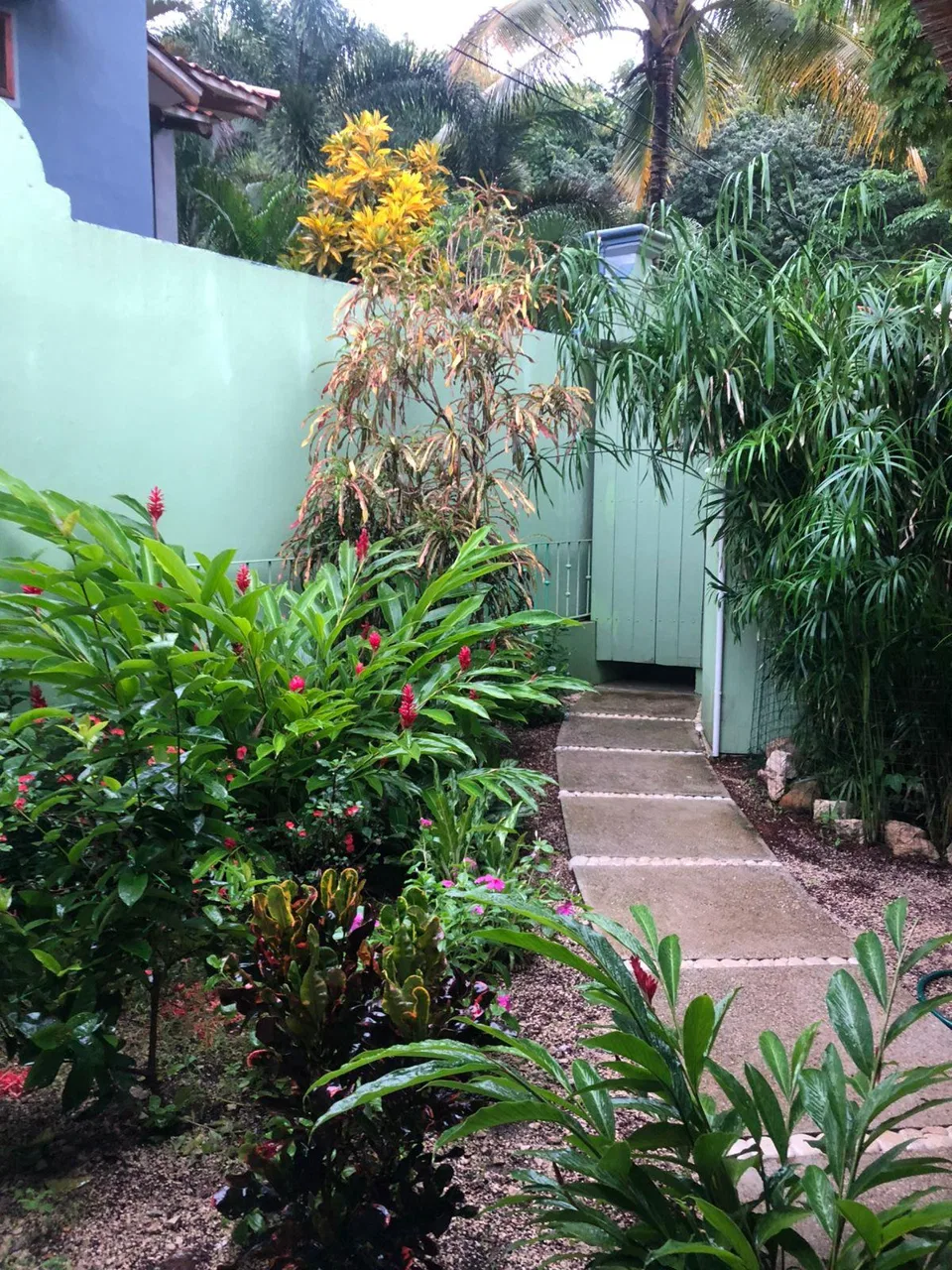 Downtown Sámara Home with Commercial Space &amp; Tropical Garden, photo 21