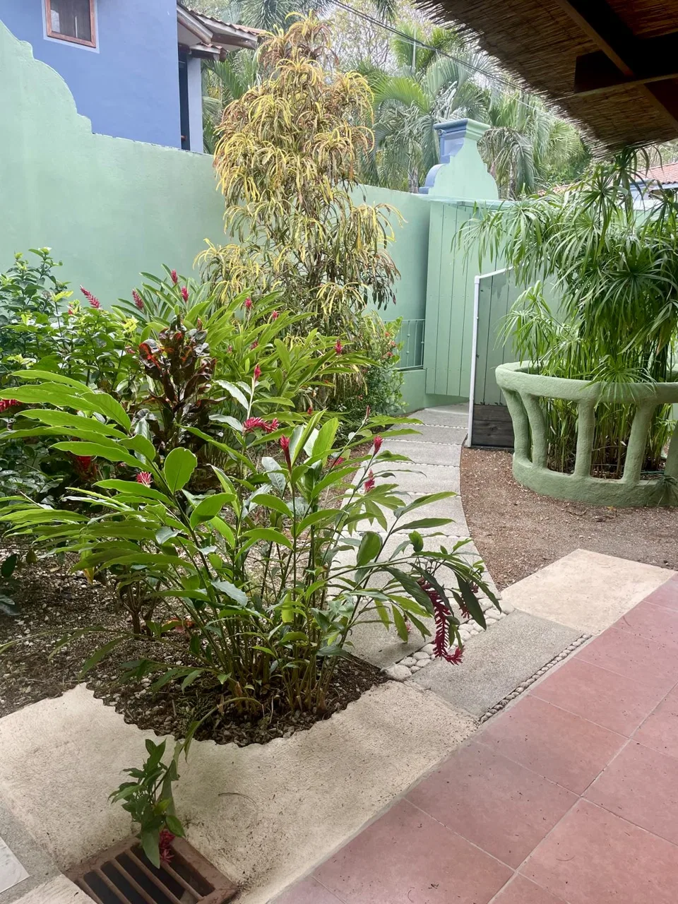 Downtown Sámara Home with Commercial Space &amp; Tropical Garden, photo 23