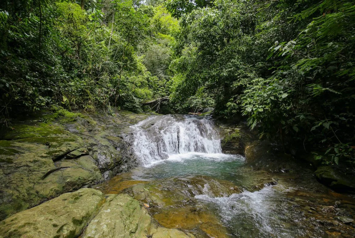 NATURAL PLAYGROUND – WATERFALL PROPERTY WITH SWIMMING HOLES AND SELF SUSTAINABILITY POTENCIAL  – 128 ACRES, photo 2